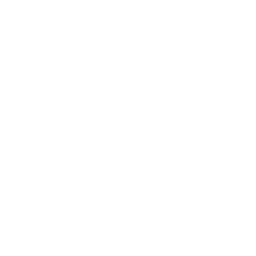 ce logo Waco